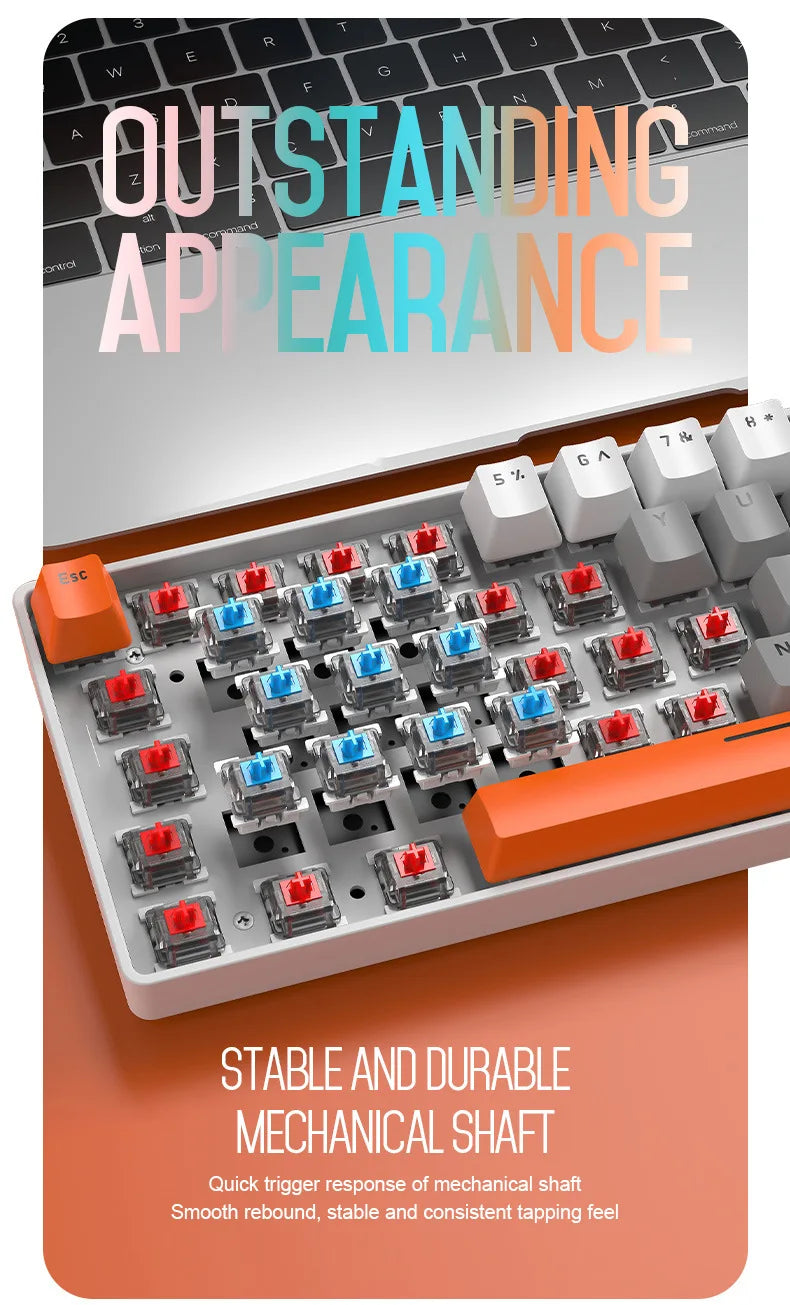 Free Wolf T60 Mechanical Keyboard Color Matching Customized Game Notebook Office Computer 62 Key Mini Keyboard-3